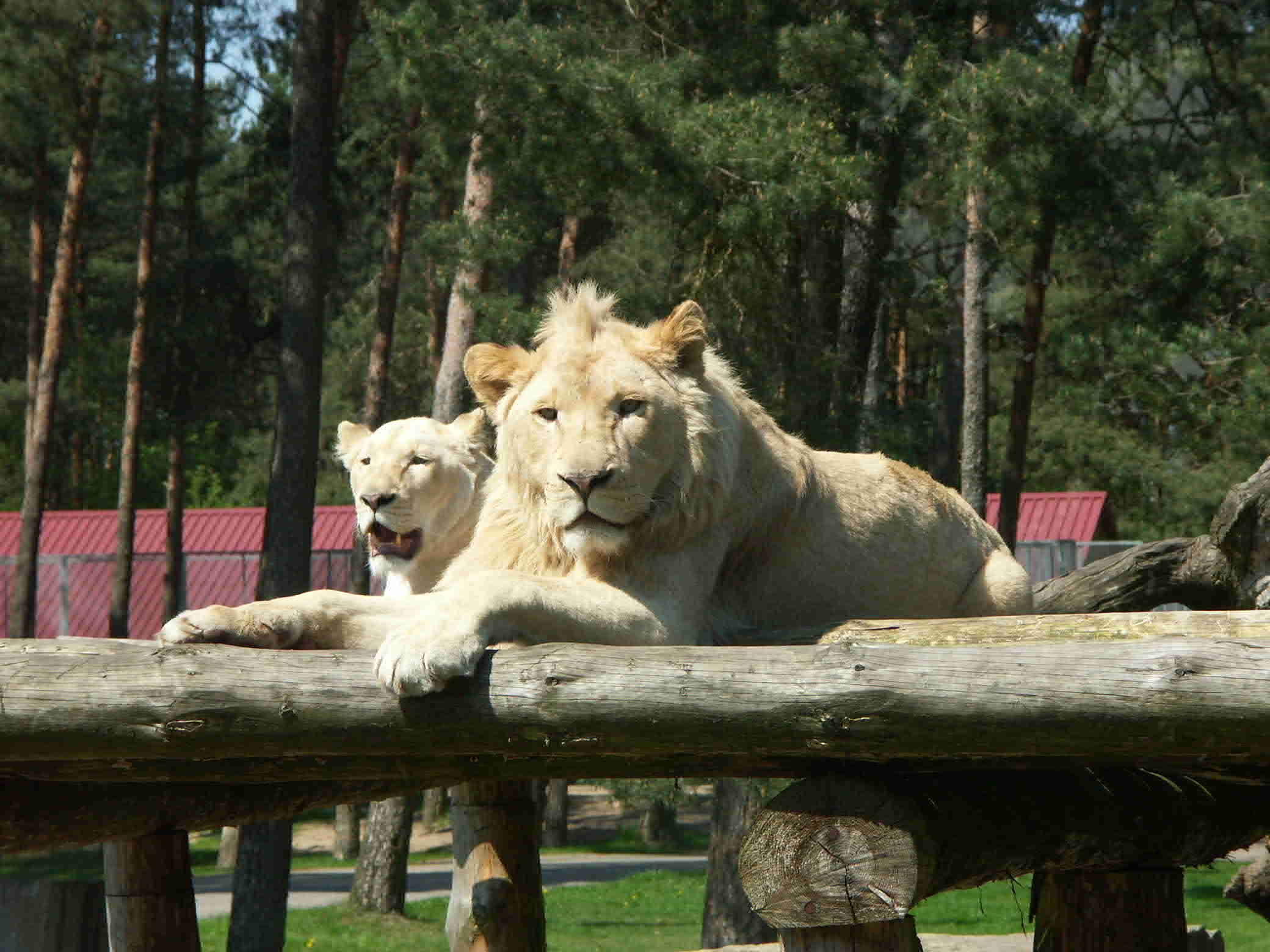 Safari-Park Stukenbrock